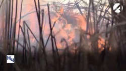 В астраханских лесах завершился пожароопасный сезон