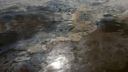 В Астраханской области вновь нашли нефтепродукты в акватории Волги