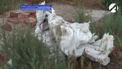 В Астраханской области обнаружили несанкционированную свалку
