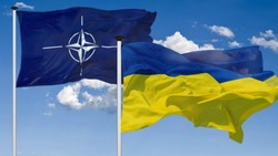 НАТО оказало помощь Украине на 120 млрд долларов
