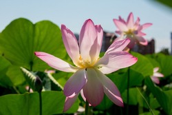 Астраханская область стала пилотным регионом проекта «Земля для туризма»