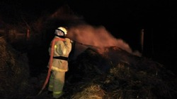 В Астраханской области горели 19 рулонов сена