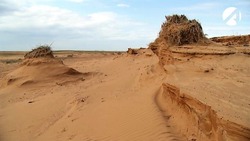 Астраханские учёные предлагают пути борьбы с опустыниванием