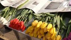 В Астрахани по просьбам жителей пресекают незаконную торговлю цветами