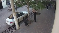В Астрахани мужчина напал на дерево