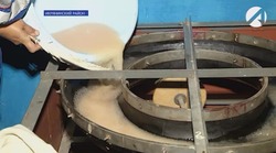 На астраханском осетровом рыбоводном заводе добывают икру белорыбицы
