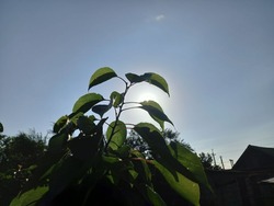 Как пережить жару без вреда для здоровья