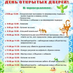 Астраханцев приглашают на конное шоу