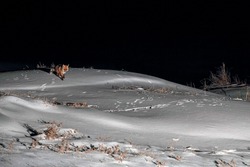 Астраханцы могут посетить выставку фотографий дикой природы