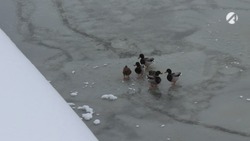 Астраханцам напоминают об опасности выхода на лёд