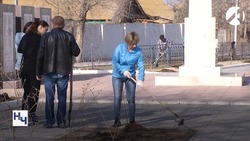 Астраханская область присоединится к международной акции «Сад памяти»