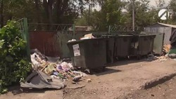 Несанкционированные свалки: как бороться с мусором