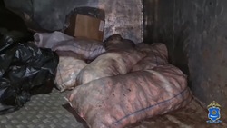 Астраханец пытался незаконно провезти полтонны воблы