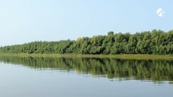 В астраханском водоёме нашли тело мужчины
