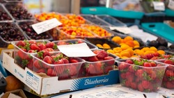 Эксперты посоветовали астраханцам больше есть свежих ягод 