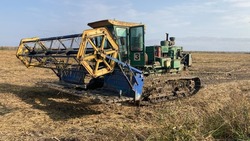 В Астраханской области продолжается уборка риса