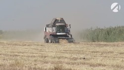 Астраханские аграрии планируют расширить площади посева риса