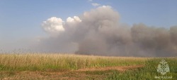 В Астраханском заповеднике разгорелся пожар