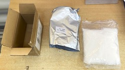 Астраханская таможня пресекла незаконный ввоз прегабалина из Китая