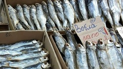 Минсельхоз РФ предлагает ввести запрет на вылов астраханской рыбы