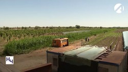 30 астраханских фермеров получат гранты на развитие дела