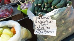    Базаринг в Астрахани: 16 июня. Овощи и фрукты