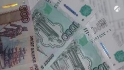  Астраханка притворилась предпринимателем и присвоила соцвыплату