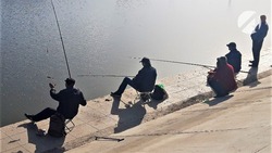 В Астрахани стартует рыбацкий фестиваль «Вобла»
