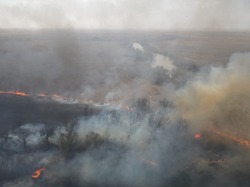 Для тушения пожаров под Астраханью привлекут спасателей и спецтехнику