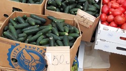 В Астрахани падают цены на огурцы и помидоры