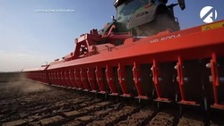 В Астраханской области увеличиваются площади под выращивание томатов
