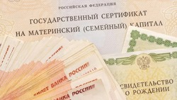 Астраханские мамы обманули государство на 2,2 миллиона рублей