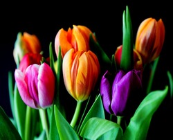 7 и 8 марта астраханкам в автобусах будут дарить цветы