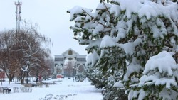 24 января в Астраханской области ожидается снег