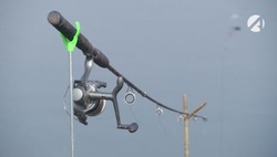 Временный запрет на вылов щуки вводится в Астраханской области