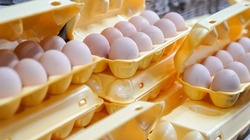 В Астраханской области резко подорожали яйца