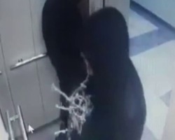 В Астрахани парень с девушкой украли электрогирлянду в форме оленя