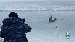 Астраханские полицейские спасли девочку из-подо льда в Ростовской области
