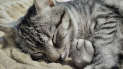 Как вернуть здоровый сон после отпуска