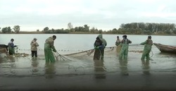 В Астраханской области началась осенняя путина