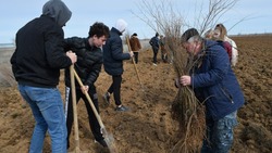 Астраханцы присоединились к Международной акции «Сад памяти»