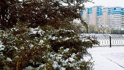 Ночью 27 января астраханцам обещают до 27 градусов мороза