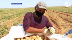 Работающим вблизи села Зензели трудовым мигрантам прививки сделали в Астрахани