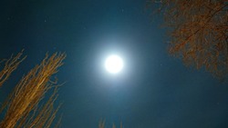 Лунное гало украсило небо Астрахани