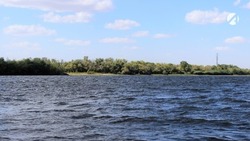 Волга в Астраханской области стала значительно чище