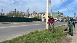 В Астрахани приступили к борьбе с сорняками