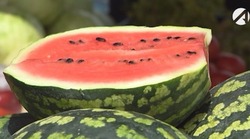 В Астраханскую область пытались ввезти непроверенные арбузы