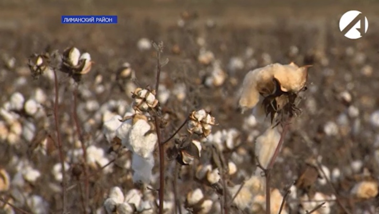 ����� � ��� ������������ ������?