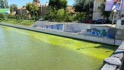 Канал в центре Астрахани позеленел