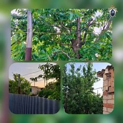 В Астраханской области ребёнок погиб от удара током